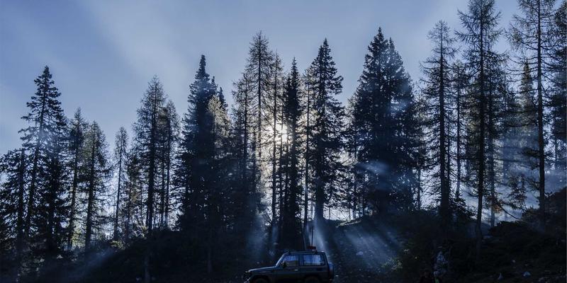 从典型案例看网络安全防护:反欺诈与数字资产保护的实战策略