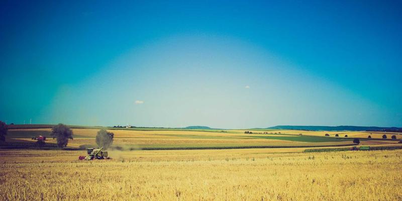 企业网络安全实战教程：从钓鱼防护到系统化反欺诈防御