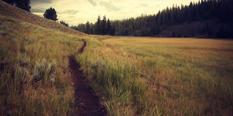 敏捷开发中的安全防线：DevSecOps如何通过自动化工具链集成CI/CD管道，强化网络安全与反欺诈能力