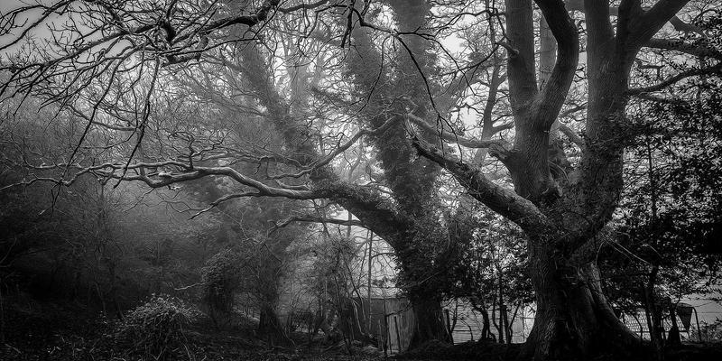 智能防御新纪元：机器学习如何重塑钓鱼防护与黑客防护体系