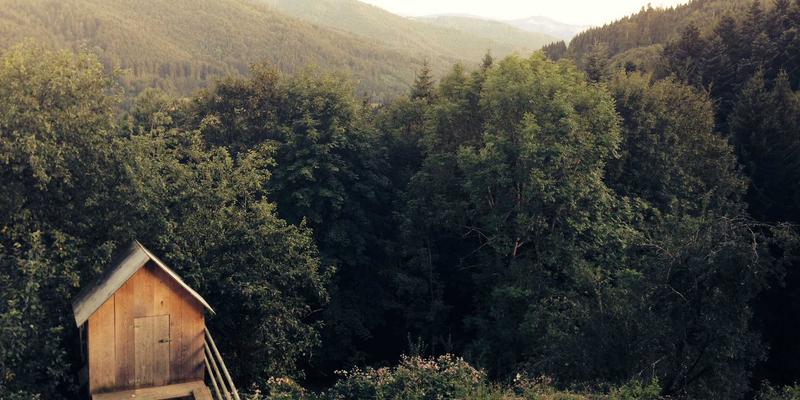 构建企业数据安全治理框架：从安全评估、分类分级到动态脱敏的实战路径