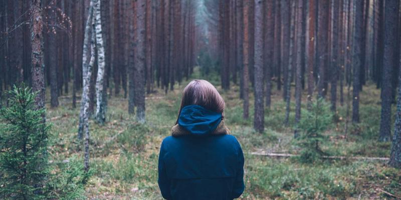 构筑数字护盾：反欺诈与在线诈骗防护的网络安全实战指南