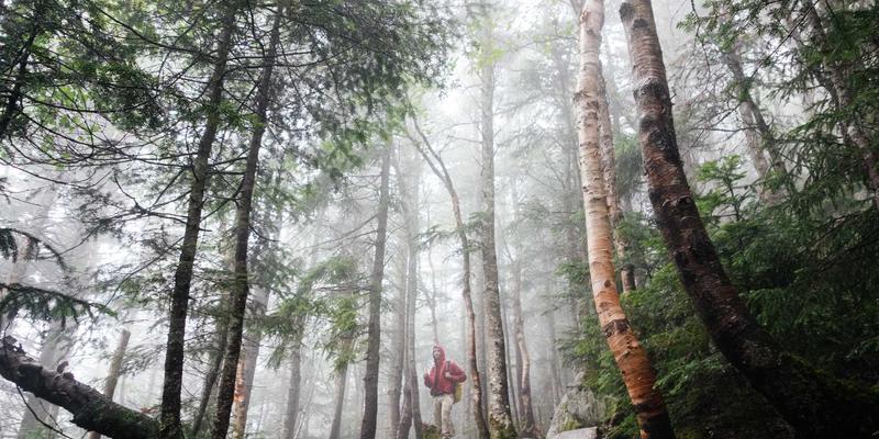 构筑数字防线：以零信任架构强化企业在线诈骗防护与数字资产保护