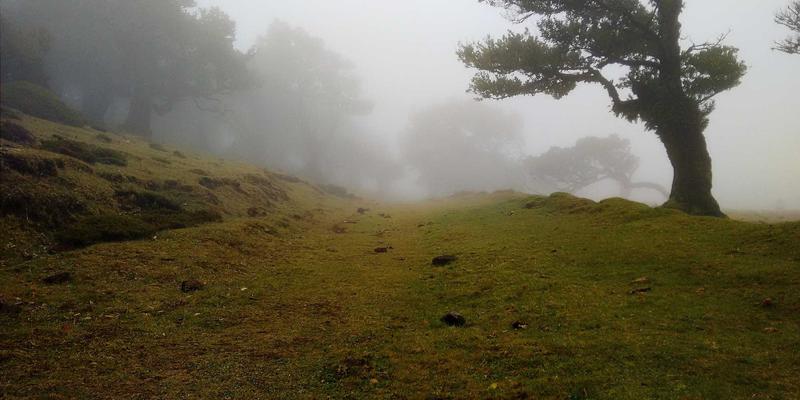 构筑数字防线：反欺诈、钓鱼防护与数字资产保护的实战策略