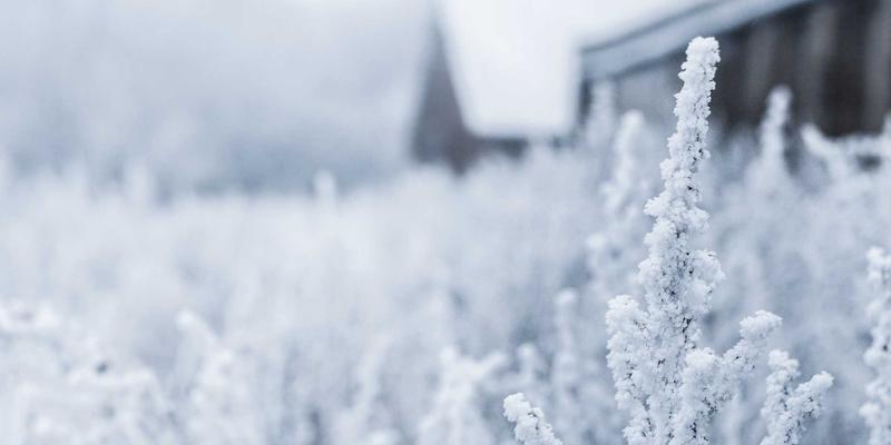 构筑数字防线:钓鱼攻击与在线诈骗的全面防护与安全评估指南