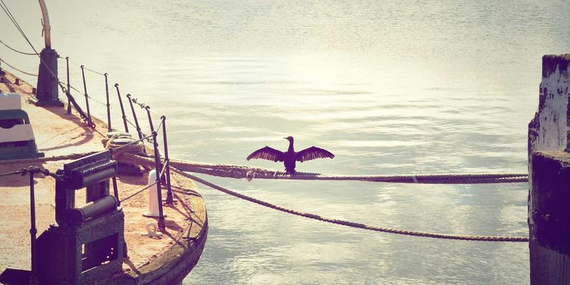 物联网设备安全漏洞全解析：构筑家庭网络防火墙，远离在线诈骗与黑客攻击