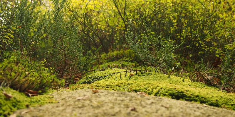 筑牢数字防线：等保2.0时代下，如何通过黑客防护与反欺诈构建关键信息基础设施安全屏障