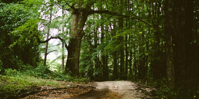 网络安全76：构建数字时代的在线诈骗防护与安全评估体系