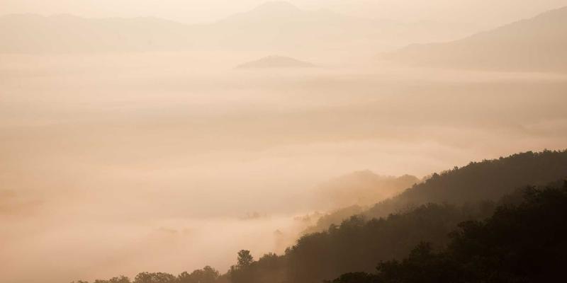 网络安全攻略：三大核心策略守护数字资产，筑牢钓鱼防护屏障